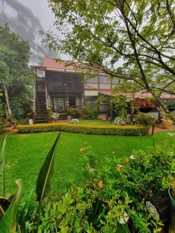 Kaapsehoop Kattekwaad Accommodation المظهر الخارجي الصورة