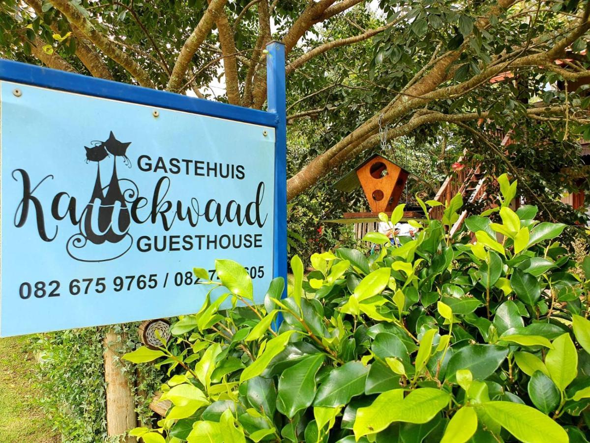 Kaapsehoop Kattekwaad Accommodation المظهر الخارجي الصورة
