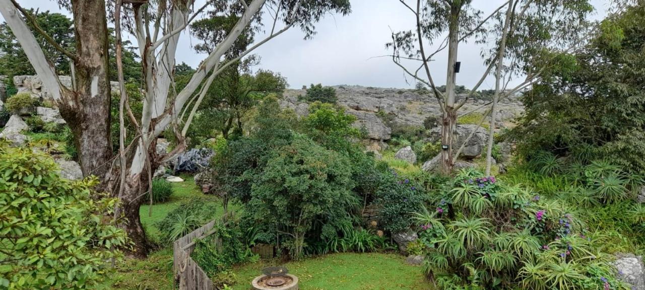 Kaapsehoop Kattekwaad Accommodation المظهر الخارجي الصورة