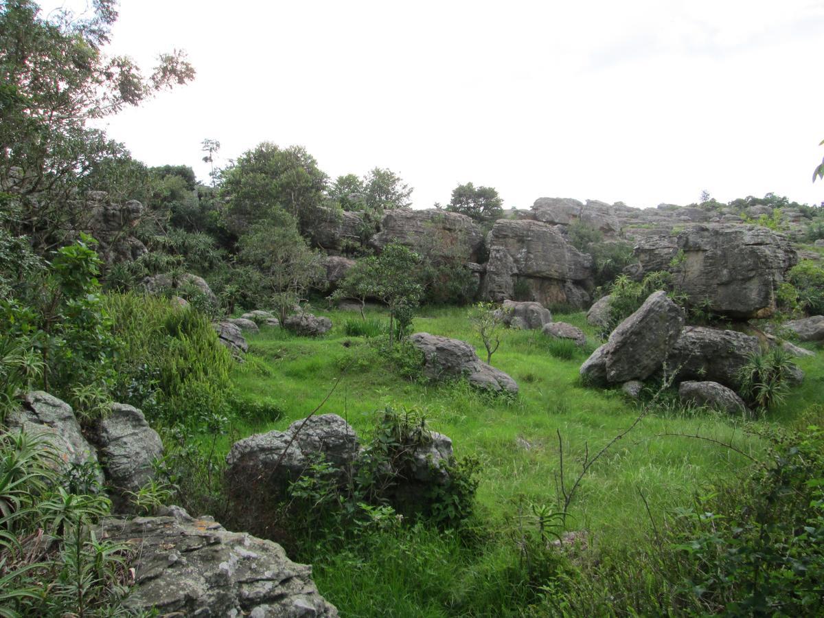 Kaapsehoop Kattekwaad Accommodation المظهر الخارجي الصورة
